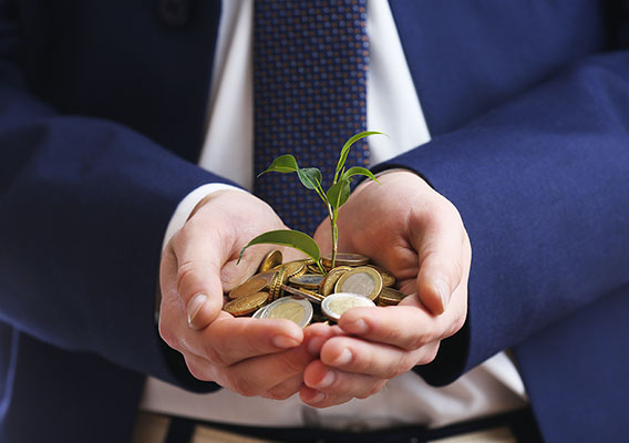 a plant in caring hands