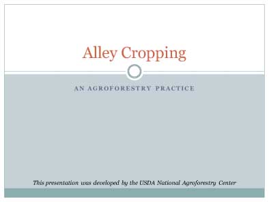Presentation cover slide.