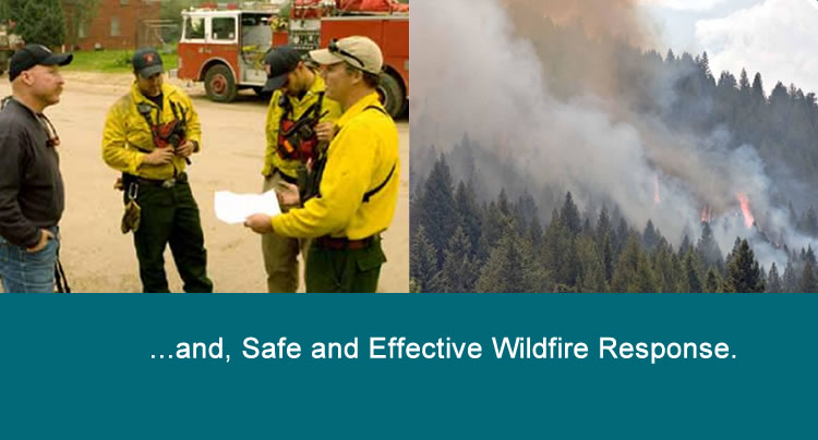 and Response to Fire.