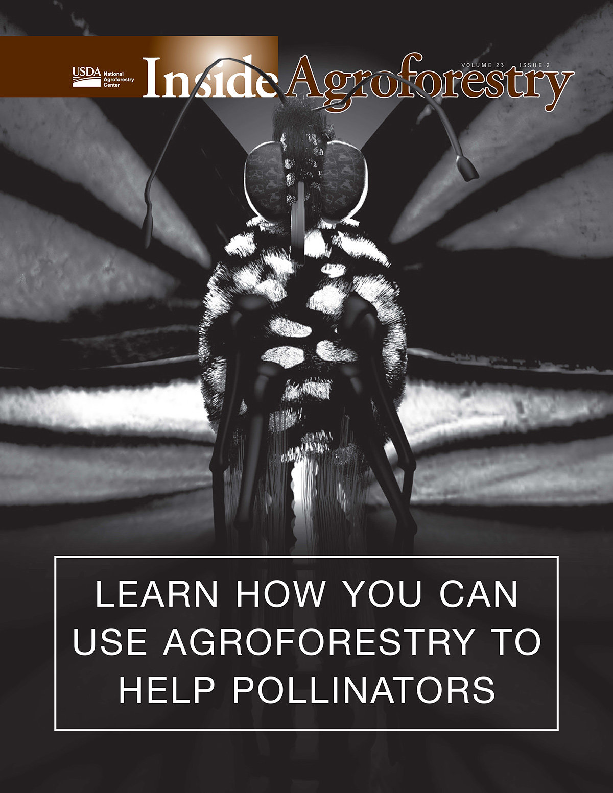 Cover page of the Inside Agroforestry publication, volume 23, issue 2, closeup of a butterfly body and the words "Learn how you can use agroforestry to help pollinators" at bottom.