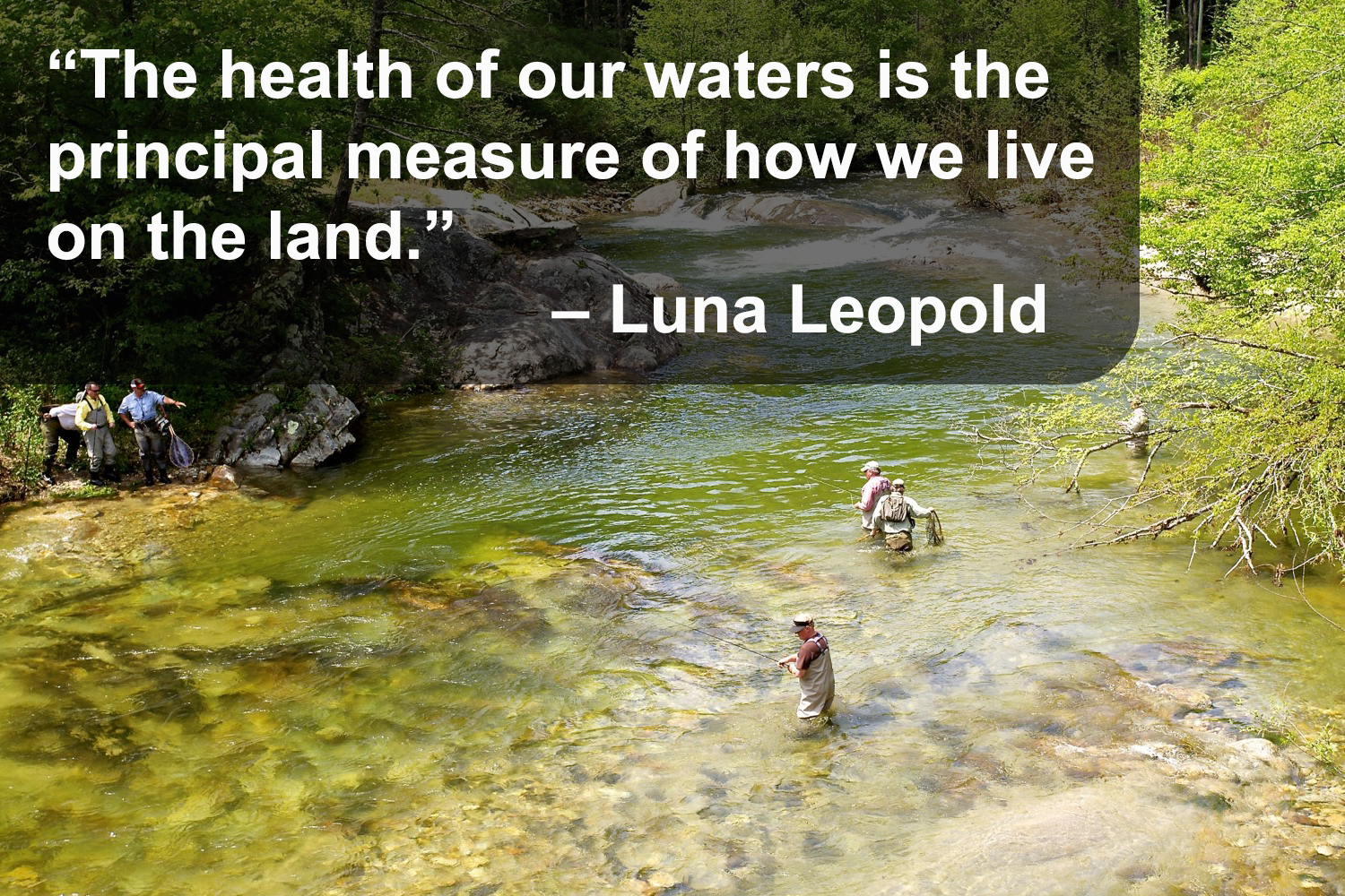 A photo of Wilson creek, text that says “The health of our waters is the principal measure of how we live on the land.” Luna Leopold
