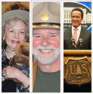 Image is a collage of three images. The Left image shows Betty White in a Forest Ranger hat holding a stuffed Smokey Bear. The middle image shows Rolling Stones' musician Chuck Leavell wearing a Forest Ranger hat, and the right image shows Governor Arnold Schwarzenegger standing at a Forest Service podium.