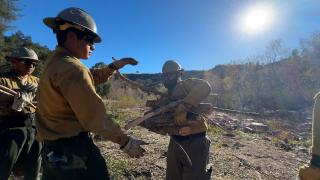 Image shows wildland firefighters reinforcing firebreaks by moving branches and other fuels.