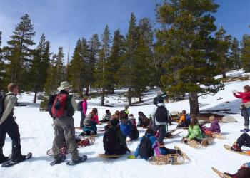 Winter Trek
