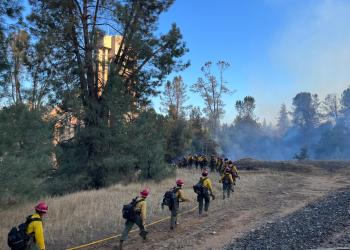 A line of firefighters carrying hand tools and wearing protective gear hiking along edge of a forested area where smoke is visible. 
