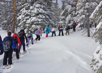 Children in winter clothing are snowshoeing up through a snowy forest.